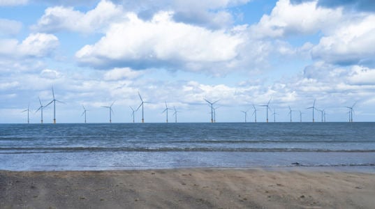 Unlocking Business Opportunities in the Offshore Wind Energy Value Chain