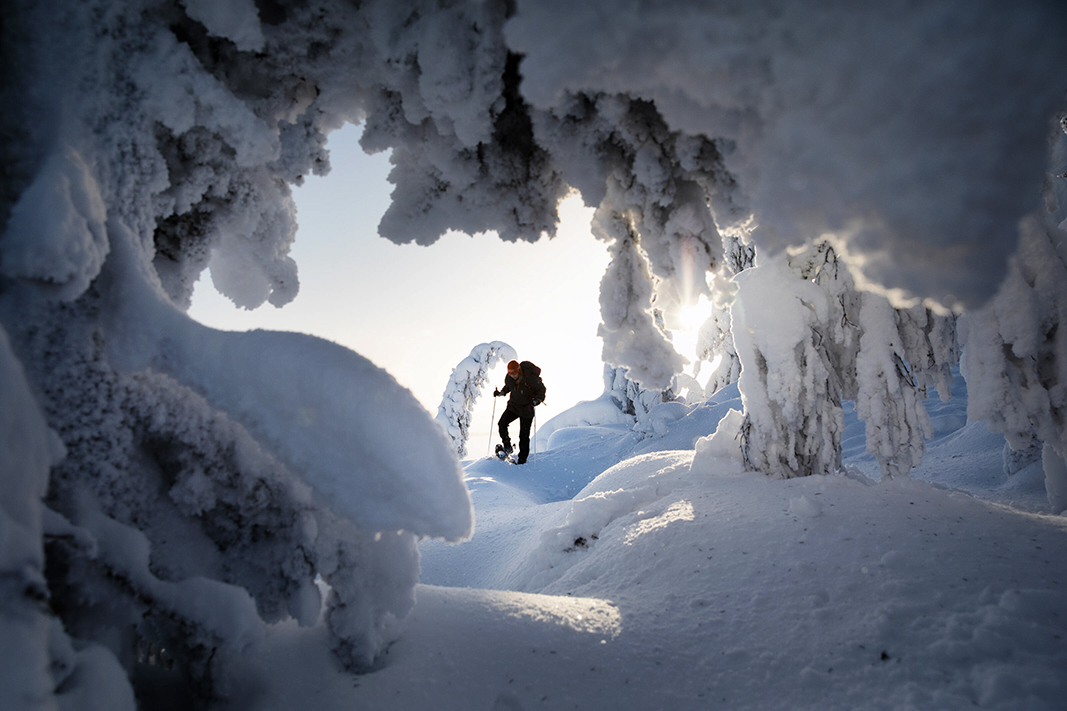 Koli region