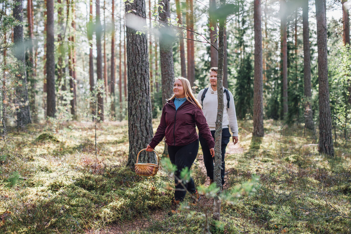 3 reasons why Finland is an attractive destination for green business